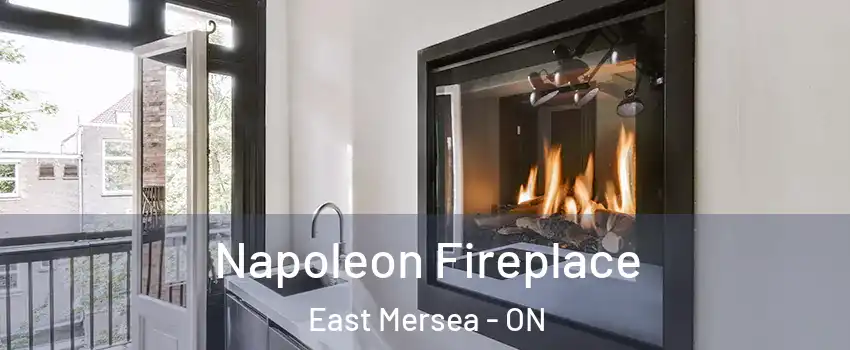  Napoleon Fireplace East Mersea - ON