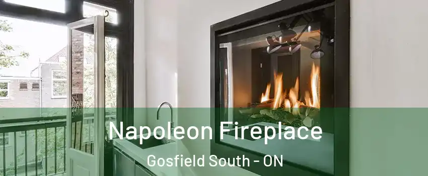  Napoleon Fireplace Gosfield South - ON