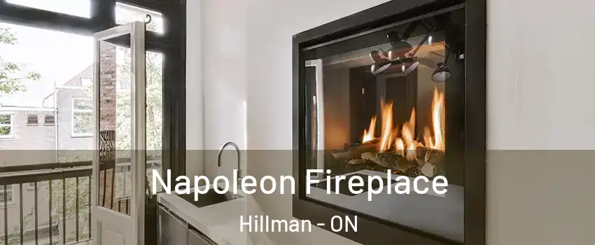  Napoleon Fireplace Hillman - ON