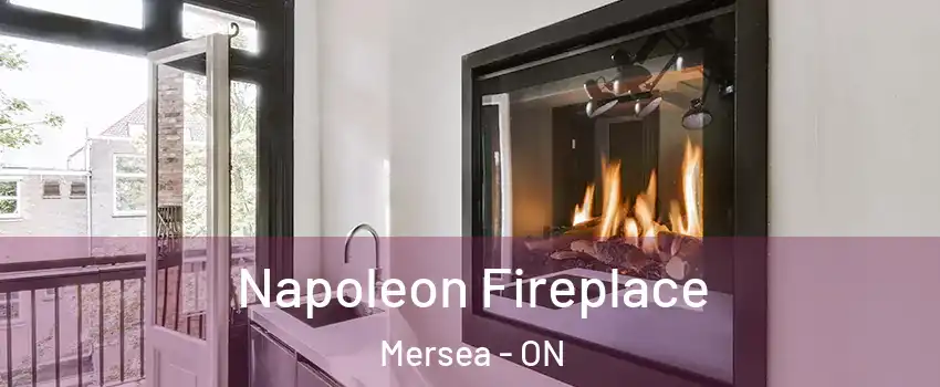 Napoleon Fireplace Mersea - ON