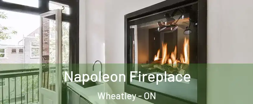  Napoleon Fireplace Wheatley - ON