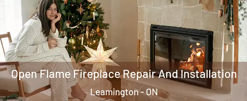  Open Flame Fireplace Repair And Installation Leamington - ON