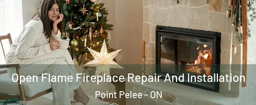  Open Flame Fireplace Repair And Installation Point Pelee - ON