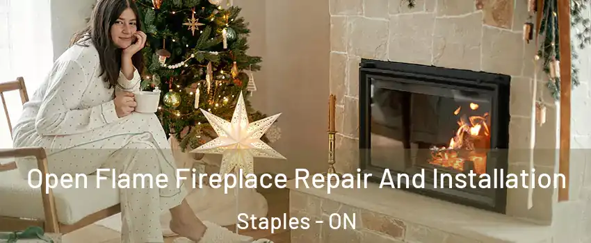  Open Flame Fireplace Repair And Installation Staples - ON