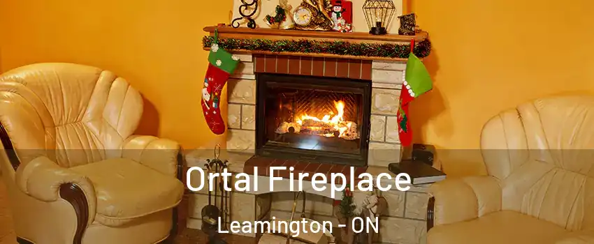  Ortal Fireplace Leamington - ON