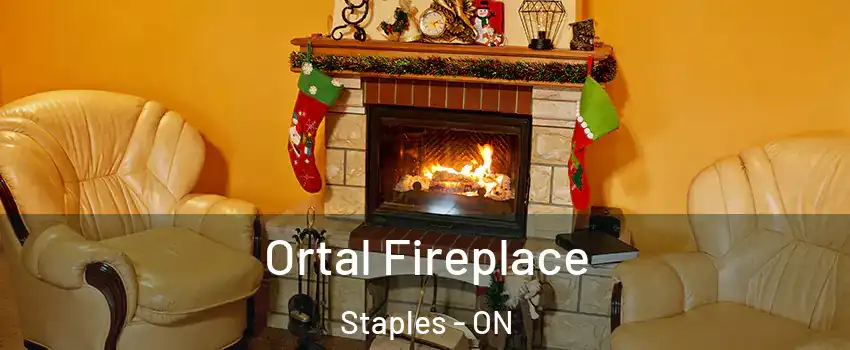  Ortal Fireplace Staples - ON