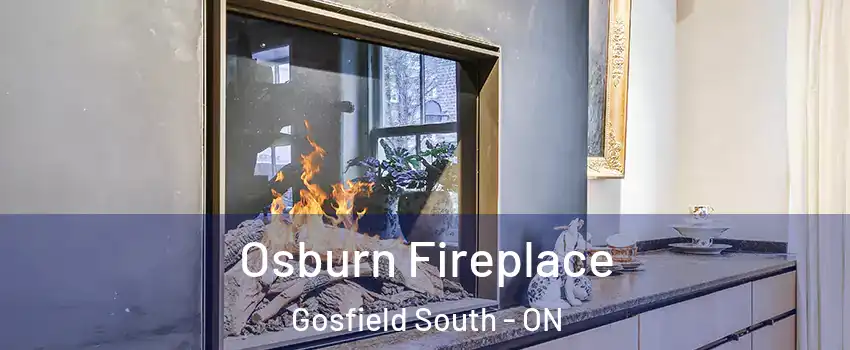  Osburn Fireplace Gosfield South - ON