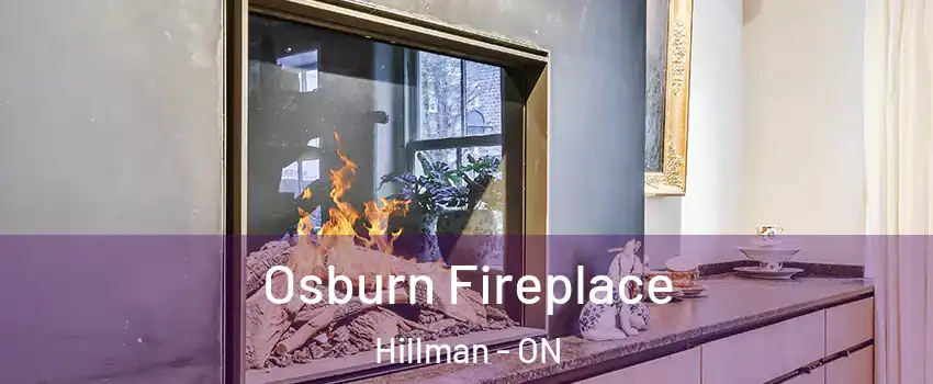  Osburn Fireplace Hillman - ON