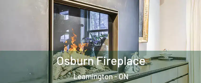  Osburn Fireplace Leamington - ON