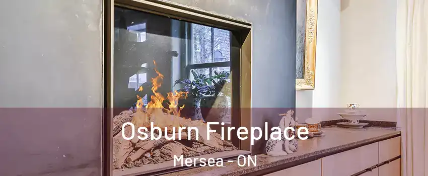  Osburn Fireplace Mersea - ON