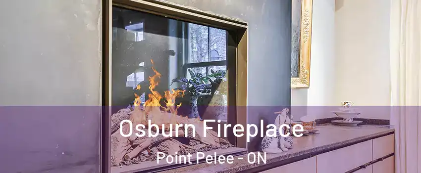  Osburn Fireplace Point Pelee - ON