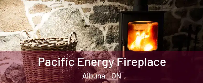  Pacific Energy Fireplace Albuna - ON