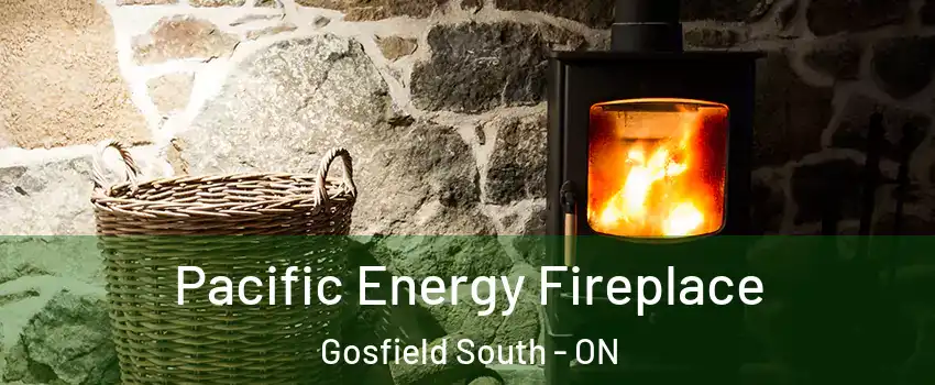  Pacific Energy Fireplace Gosfield South - ON
