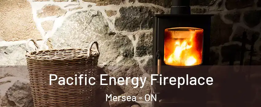  Pacific Energy Fireplace Mersea - ON