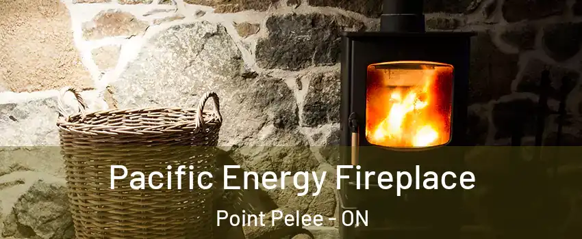  Pacific Energy Fireplace Point Pelee - ON