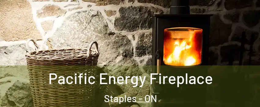  Pacific Energy Fireplace Staples - ON