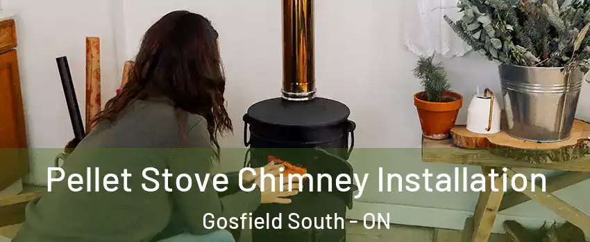  Pellet Stove Chimney Installation Gosfield South - ON