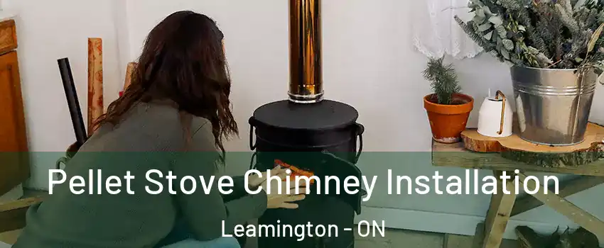  Pellet Stove Chimney Installation Leamington - ON