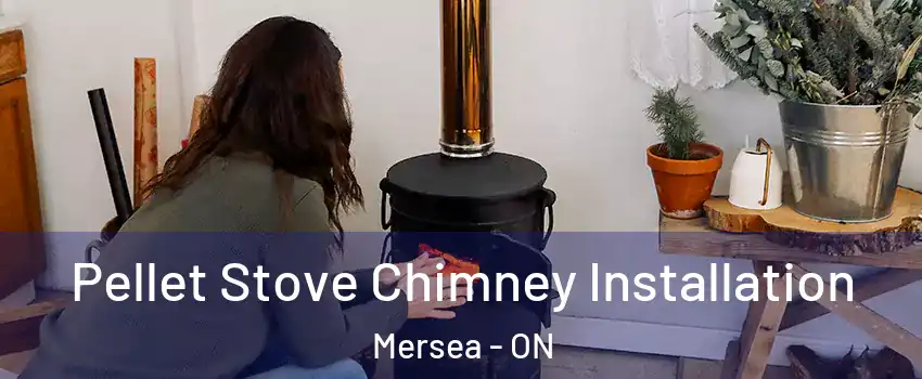  Pellet Stove Chimney Installation Mersea - ON