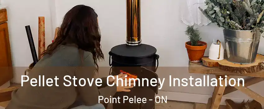  Pellet Stove Chimney Installation Point Pelee - ON