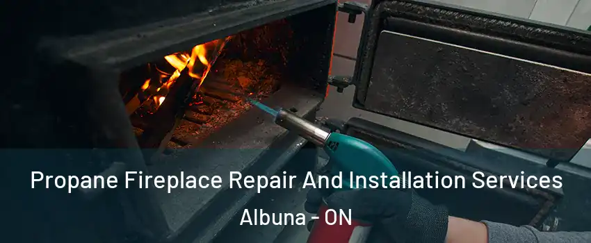 Propane Fireplace Repair And Installation Services Albuna - ON