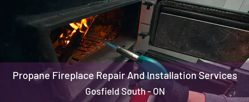 Propane Fireplace Repair And Installation Services Gosfield South - ON