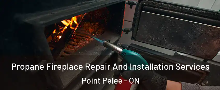  Propane Fireplace Repair And Installation Services Point Pelee - ON