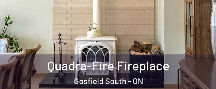  Quadra-Fire Fireplace Gosfield South - ON