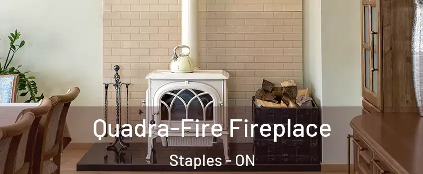  Quadra-Fire Fireplace Staples - ON