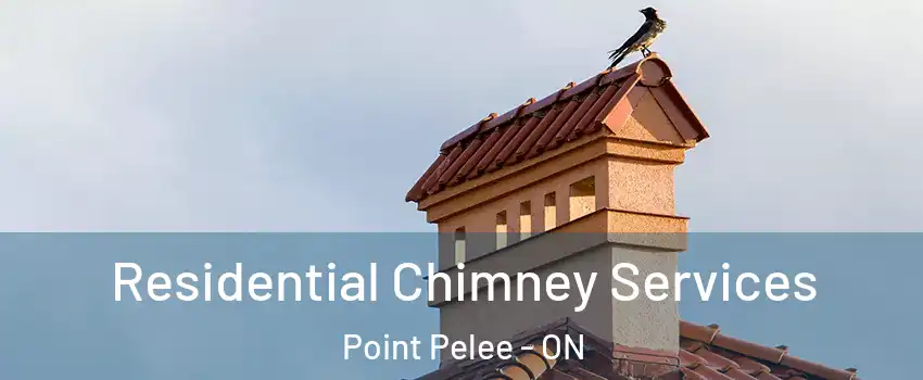  Residential Chimney Services Point Pelee - ON