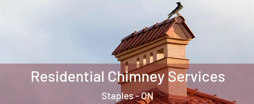  Residential Chimney Services Staples - ON