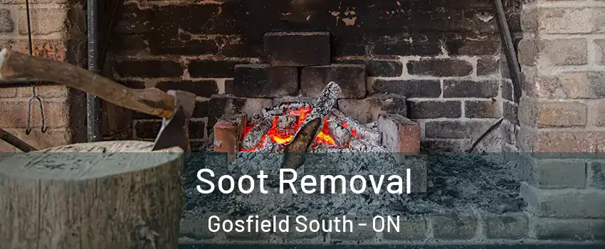  Soot Removal Gosfield South - ON