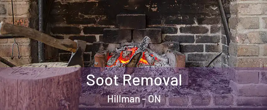  Soot Removal Hillman - ON