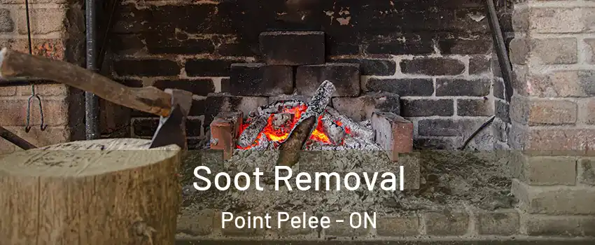  Soot Removal Point Pelee - ON