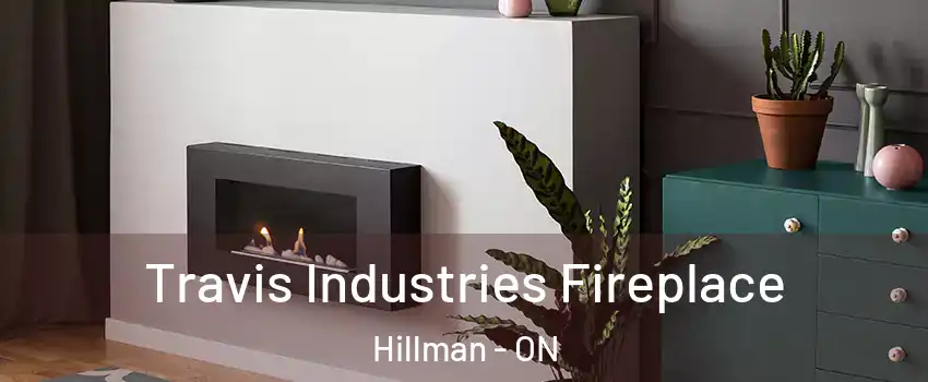  Travis Industries Fireplace Hillman - ON