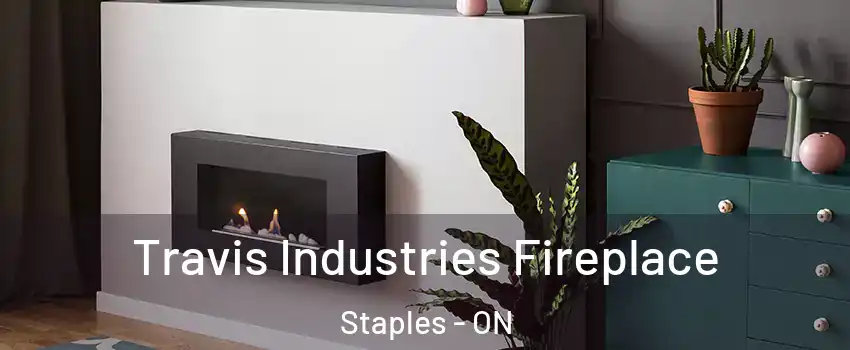  Travis Industries Fireplace Staples - ON