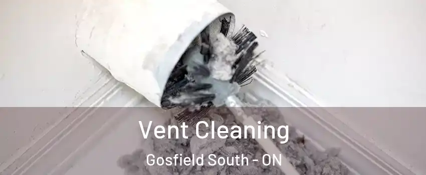  Vent Cleaning Gosfield South - ON
