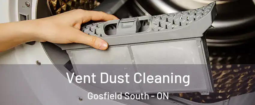  Vent Dust Cleaning Gosfield South - ON