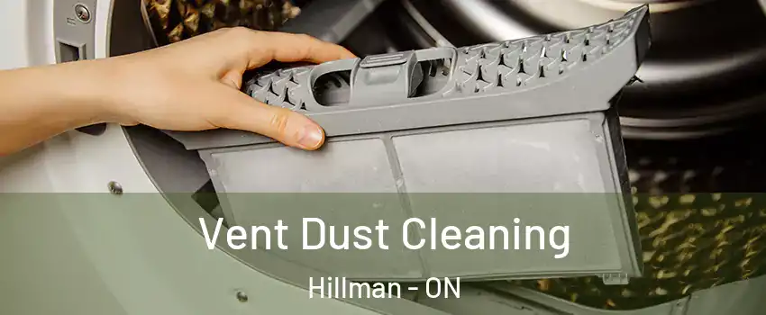  Vent Dust Cleaning Hillman - ON