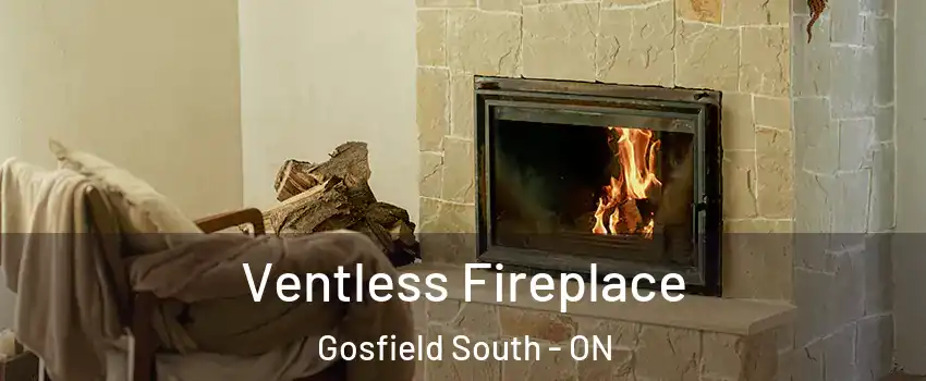  Ventless Fireplace Gosfield South - ON