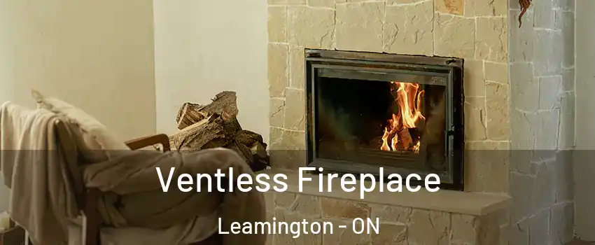  Ventless Fireplace Leamington - ON
