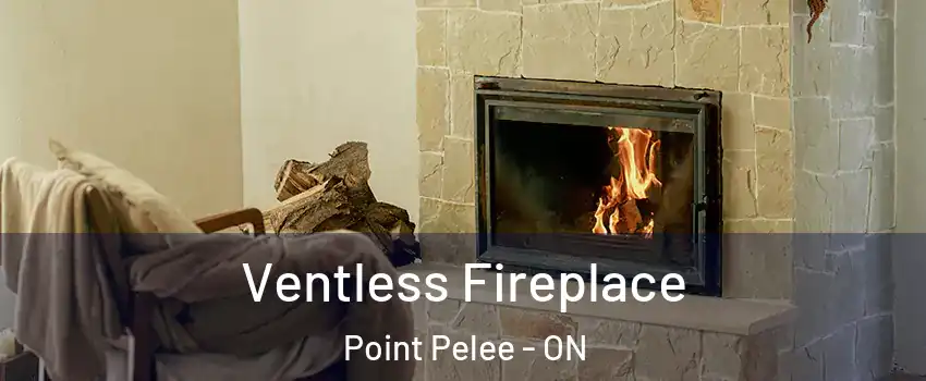  Ventless Fireplace Point Pelee - ON