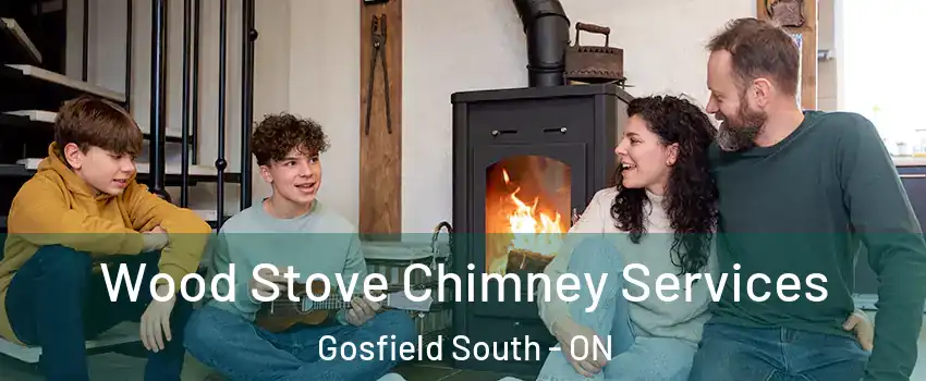  Wood Stove Chimney Services Gosfield South - ON
