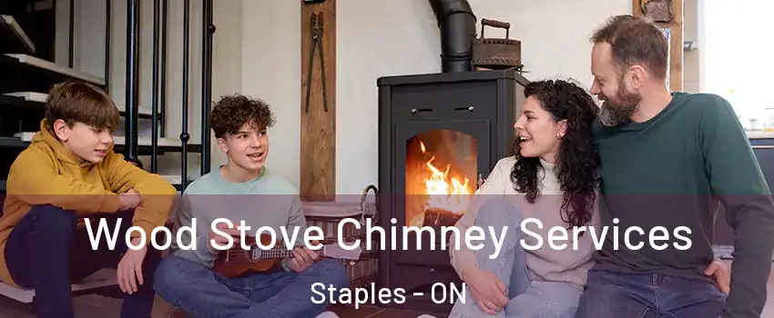  Wood Stove Chimney Services Staples - ON