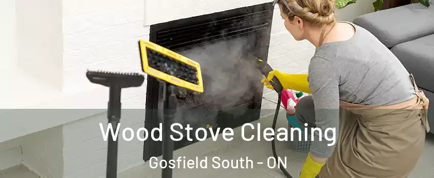  Wood Stove Cleaning Gosfield South - ON
