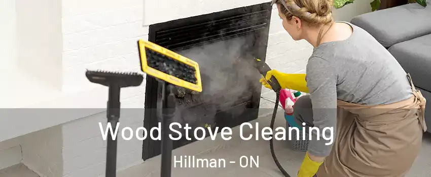  Wood Stove Cleaning Hillman - ON