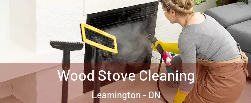  Wood Stove Cleaning Leamington - ON