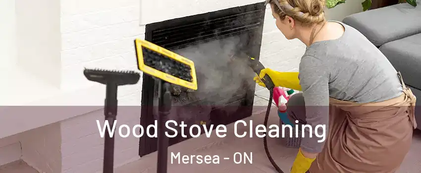  Wood Stove Cleaning Mersea - ON