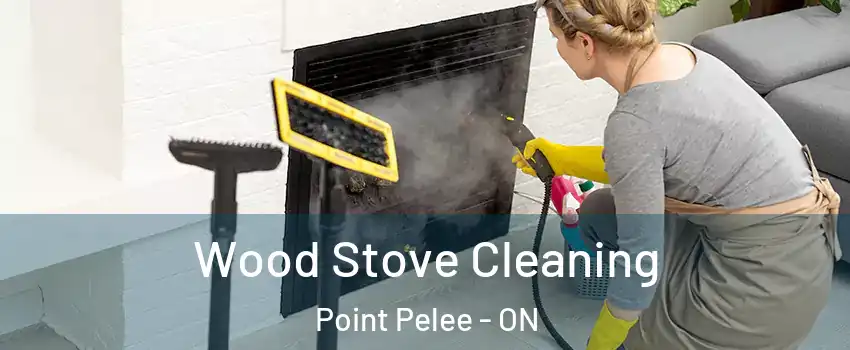  Wood Stove Cleaning Point Pelee - ON