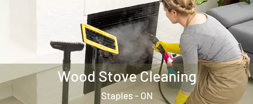  Wood Stove Cleaning Staples - ON